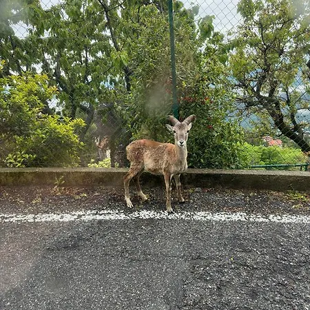 Hotel Capanna C.a.o.