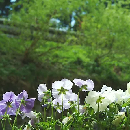 Hotell Capanna C.a.o. Brunate